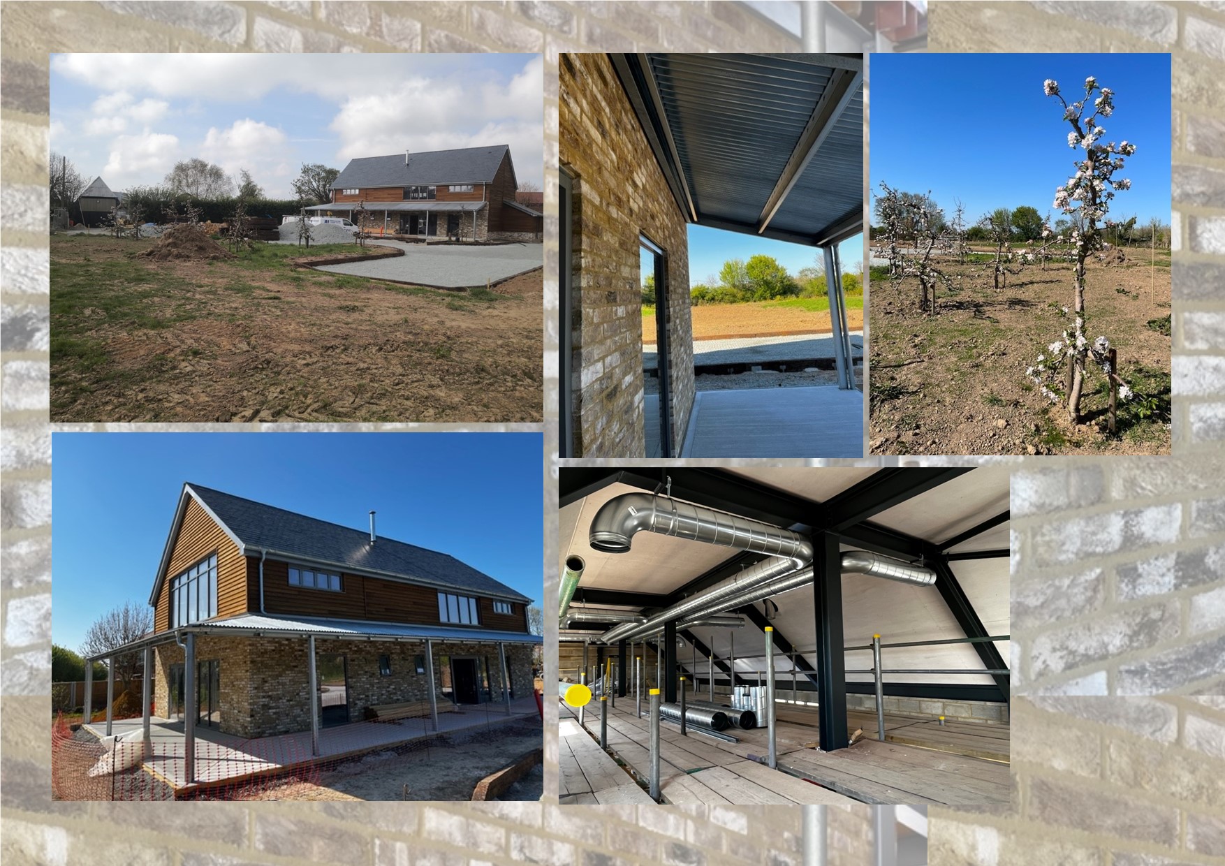 A few shots of the café in the sunshine