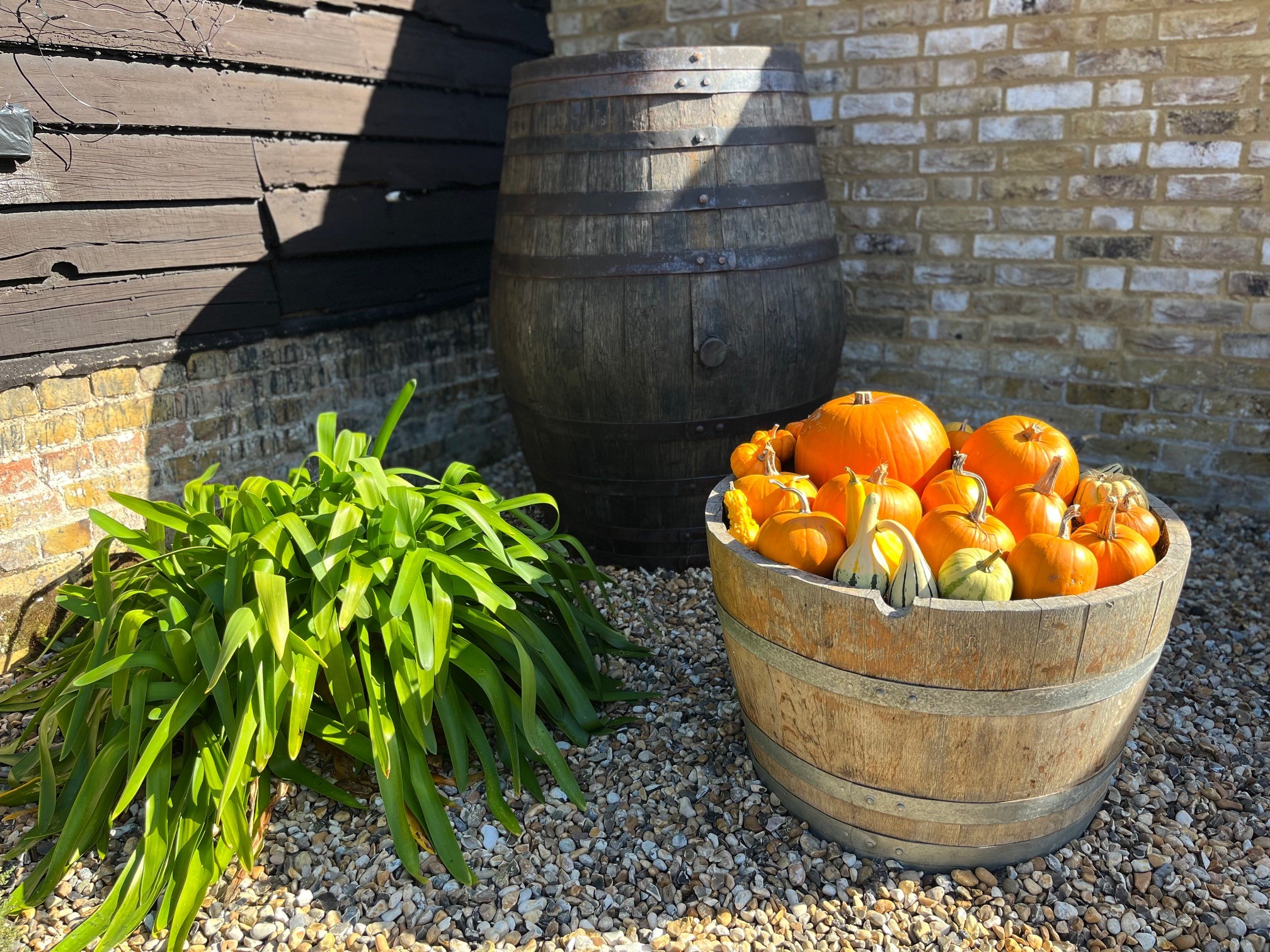 Autumnal Colours and Produce